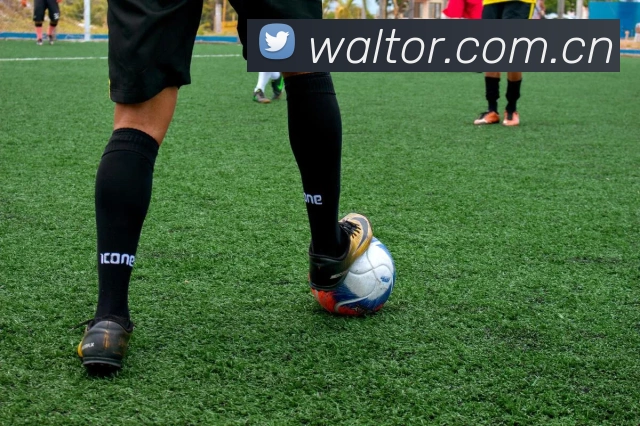 开云官网平台生态图