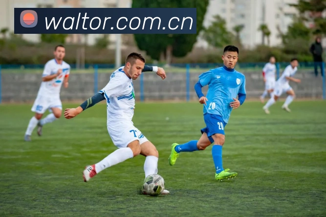 开云官网APP 封面图